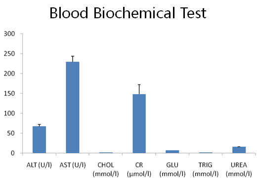 B-NDG-Blood-Biochemical